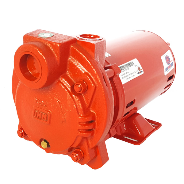 BOMBA MONOBLOCK TF IHM TURBILINE TE-600TW 7,50HP 3PH 220-440V 60Hz 3600RPM DOL 1-1/4" X 1" NPT