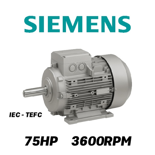 [7905SIE-5SI075023T0225M-0AI1] MOTOR HORIZONTAL  75,00HP 3600RPM SIEMENS MS230750 3PH 220-440V 2P SF 1,15 225M 55,00KW